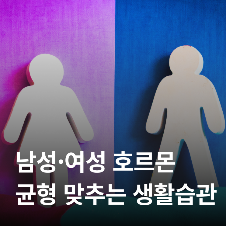  호르몬 불균형이 주는 신호와 회복하는 법