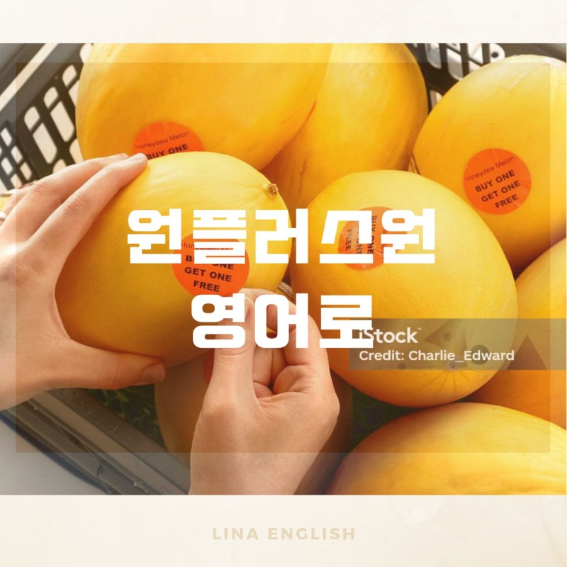 이거 영어 아니었어?! 원플러스원 영어로