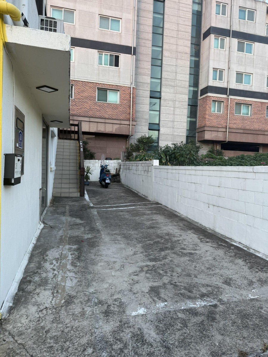 우영밭을감싼돌담 삼양본점 사진 4