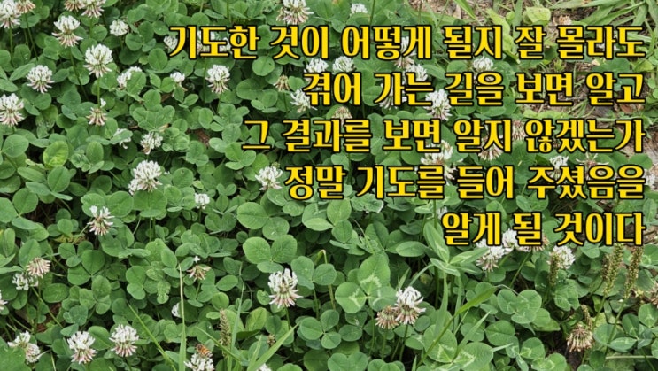  jms 정명석목사 잠언 ㅡ 기도한 것이