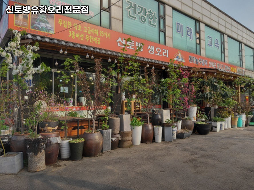 신토방유황오리전문점 사진 1