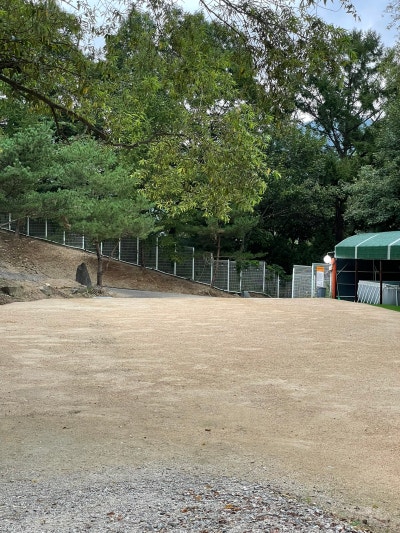 사진 3