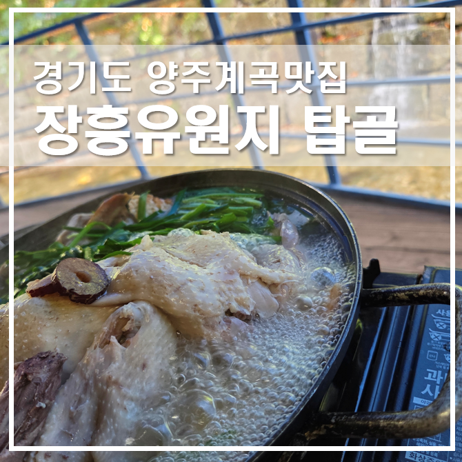 경기도 양주계곡맛집 물놀이와 함께하는 장흥유원지 탑골 닭백숙