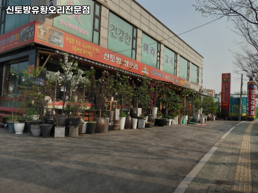 신토방유황오리전문점 사진 3