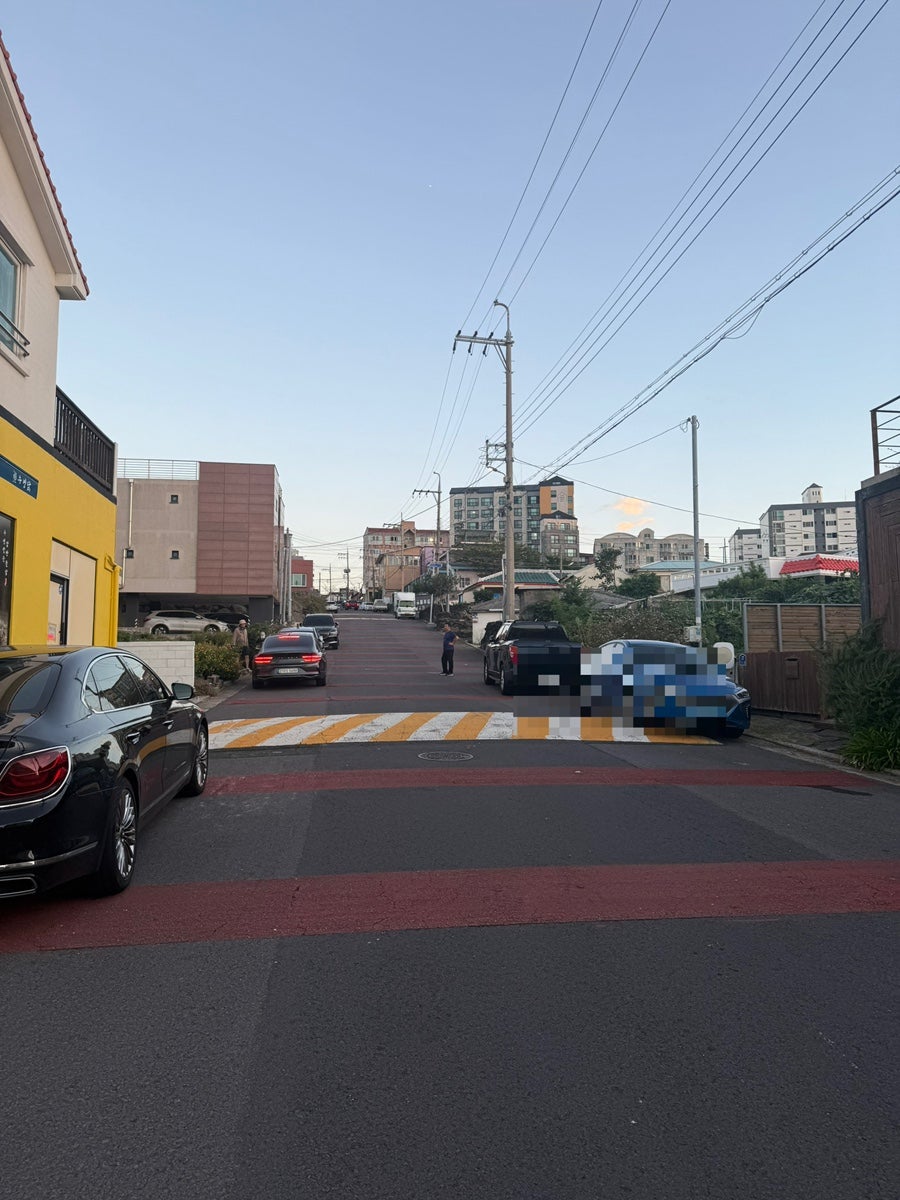 우영밭을감싼돌담 삼양본점 사진 5