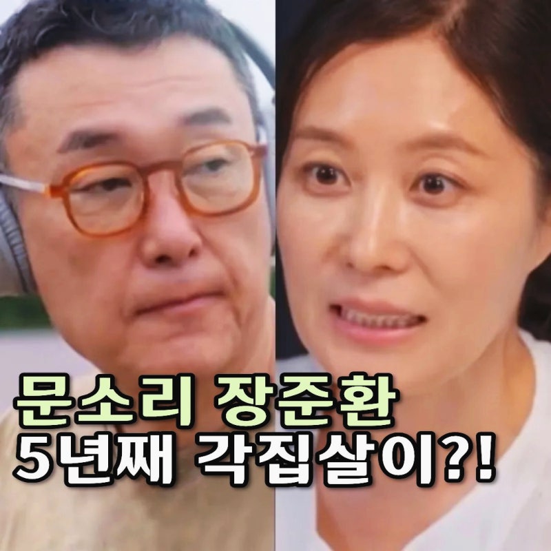 문소리 남편 장준환 감독 프로필 자녀 나이 별거 이유 ft. 각집살이 집 공개