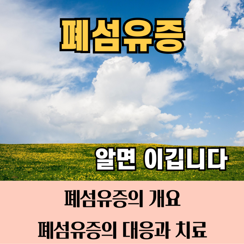 폐섬유증의 원인, 증상, 종류, 진단, 치료 / 간질성폐섬유증, 특발성폐섬유증