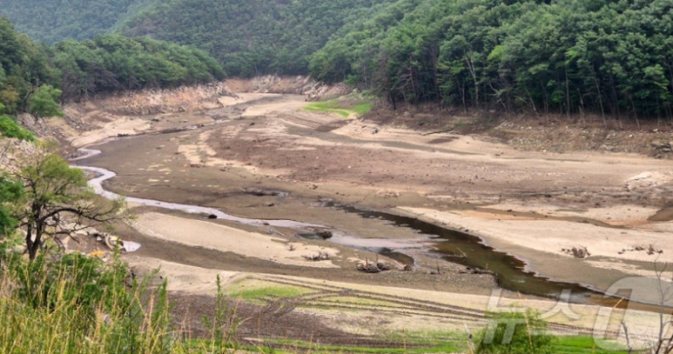 “<b>강릉</b> <b>단수</b> 임박”···<b>가뭄</b>에 드러난 한국 물관리의 민낯