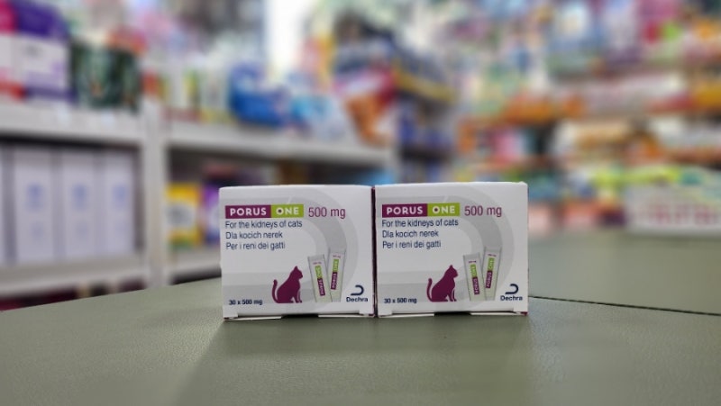 수원 하나로 365동물약국 | 포러스원(PORUS ONE) 고양이 만성신부전 보조제 성분 용법 (활성탄소....