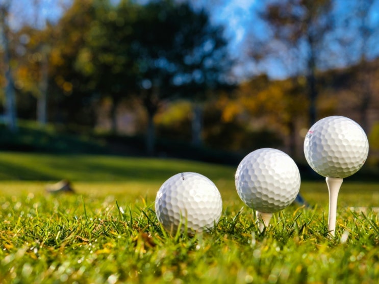 “KLPGA KG <b>레이디스 오픈</b> 2라운드 결과, <b>신다인</b> ‘노보기... 