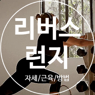 리버스런지 효과(Reverse Lunge), 자세, 쓰이는 근육과 올바른 방법
