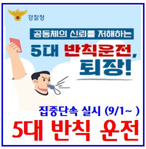  5대 반칙운전 집중단속 (ft. 계도기간 종료) : 캠코더단속, 위치장소, 꼬리물기, 끼어들기, 새치기유턴, 버스전용차로위반, 비긴급구급차, 우회전, 일시정지, 회전교차로