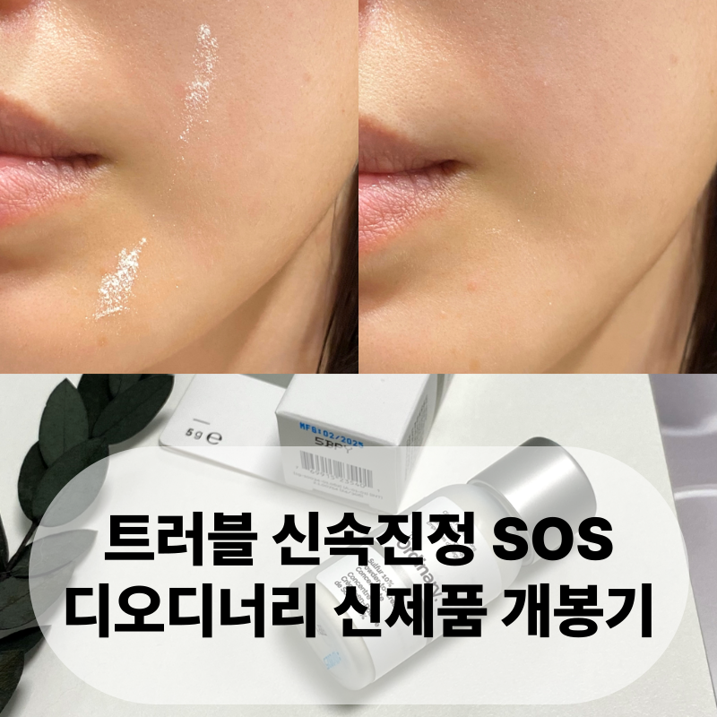 트러블 신속 진정! 디오디너리 설퍼 10% 실제후기