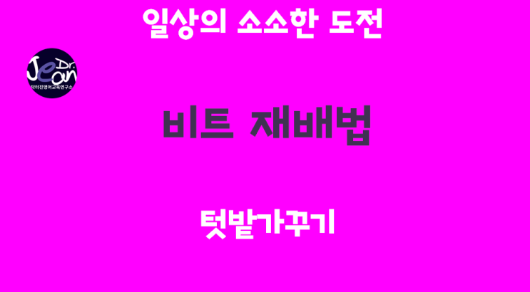  일상의 소소한 도전_텃밭가꾸기_비트 재배법
