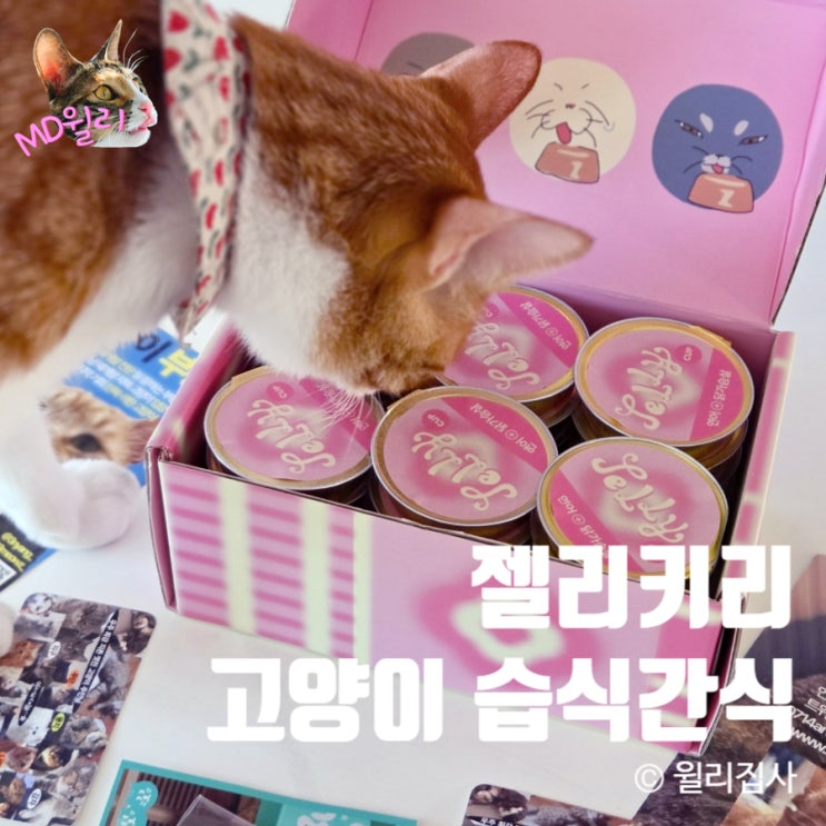  고양이간식 추천 젤리키리 연어 닭가슴살 기호성 최고