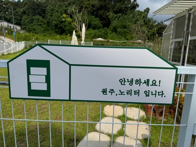 원주노리터 사진 4