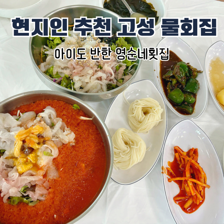  강원도 고성 물회 맛집 영순네횟집, 아이랑 가기 좋은 바다뷰 식당