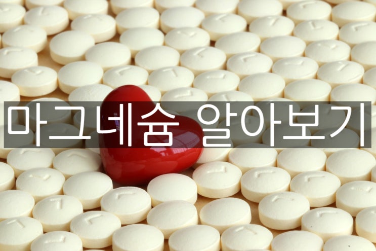  마그네슘 효능, 부작용, 하루 권장량과 복용 시 주의 사항 알아보기