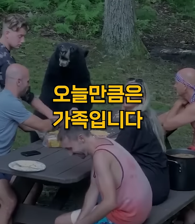  미디어로 이미지 세탁된 지리산 반달가슴곰 위험성