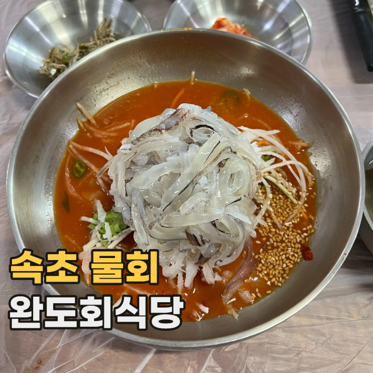  속초 완도회식당 새벽에 웨이팅 해야 먹을 수 있는 강원도 물회 맛집