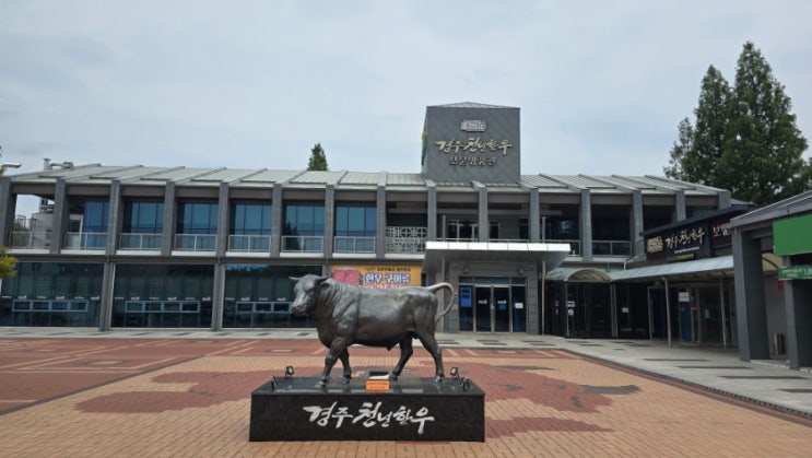  경주 보문단지맛집 『 경주천년한우 보문명품관 』 모듬구이, 육회비빔밥, 천년한우탕 후기