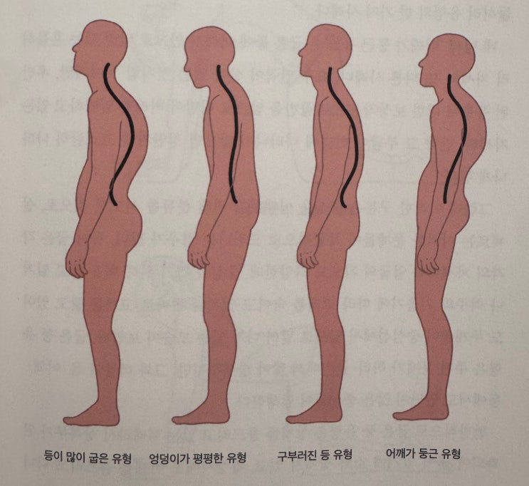  범계 PT, 이것 모르면 100회 받아도 무용지물