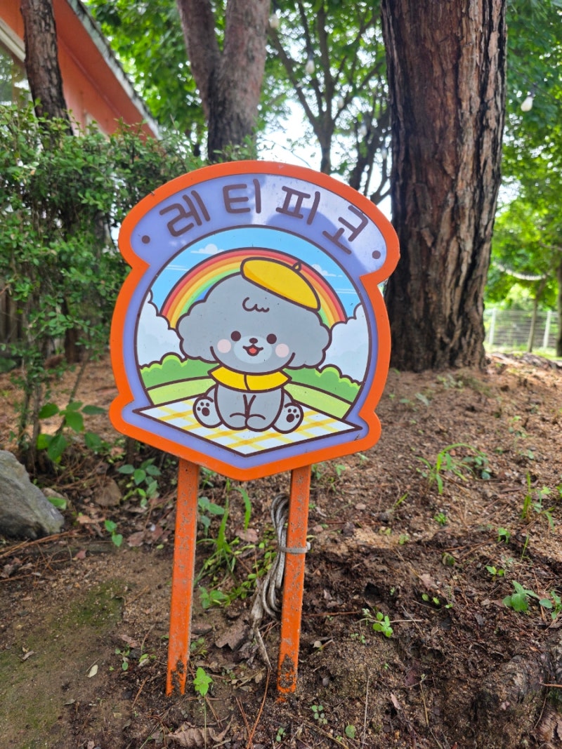 레티피코