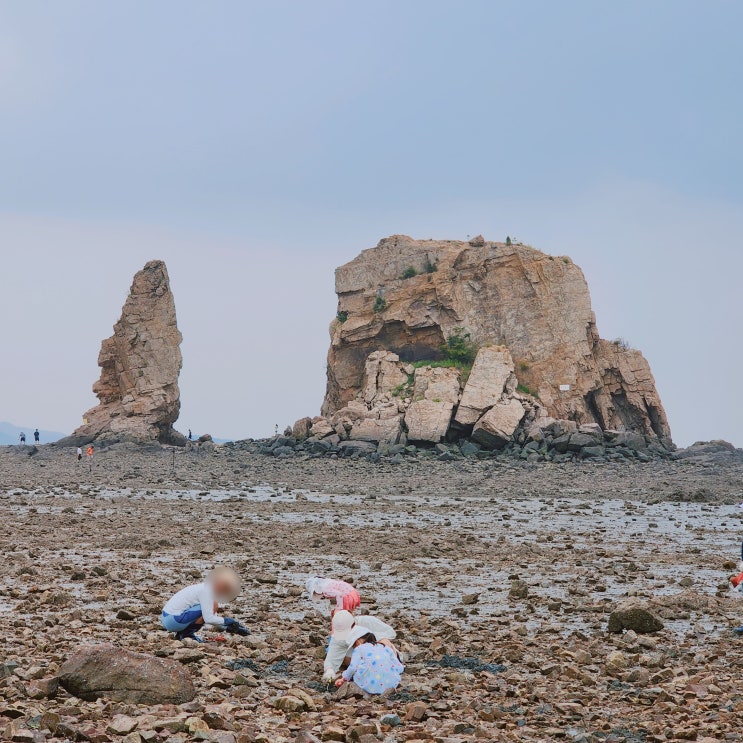  매바위 제부도 여행 자연명소 볼거리 갯벌체험장 화성 가볼만한 곳