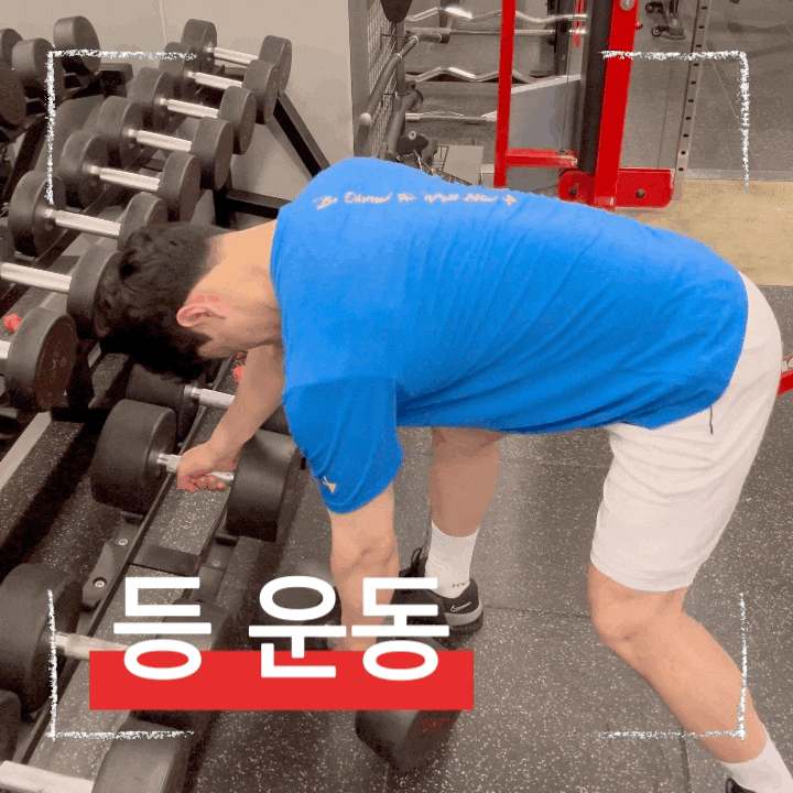  초보자도 쉽 따라할 수 있는 등 운동, 원핸드 덤벨 로우 자세 가이드