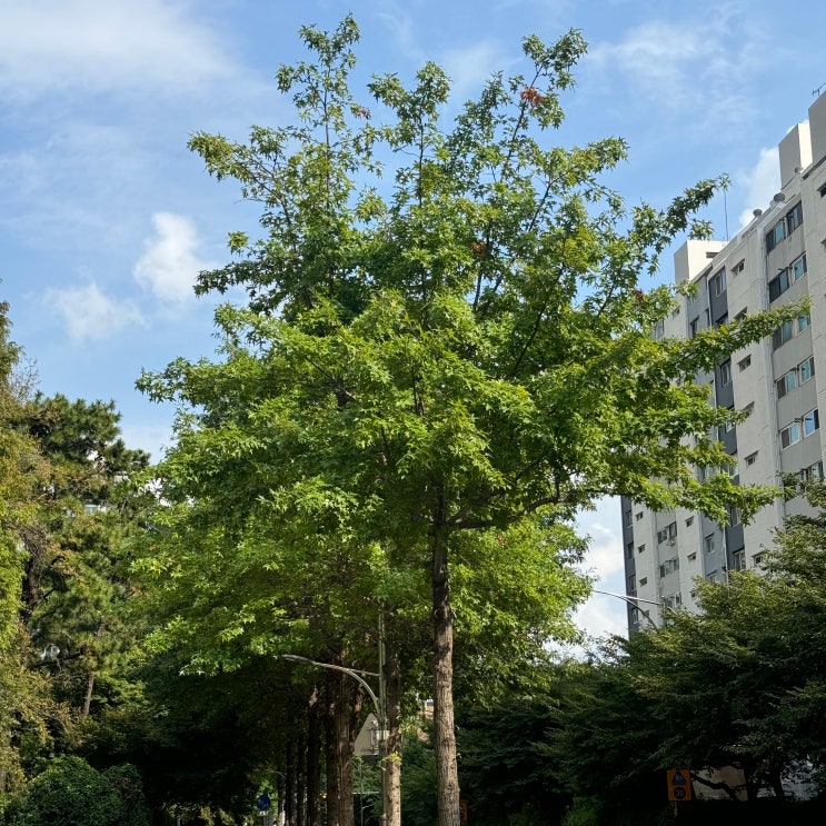  성수역 고기집 마블상회 캐치테이블 예약 후기