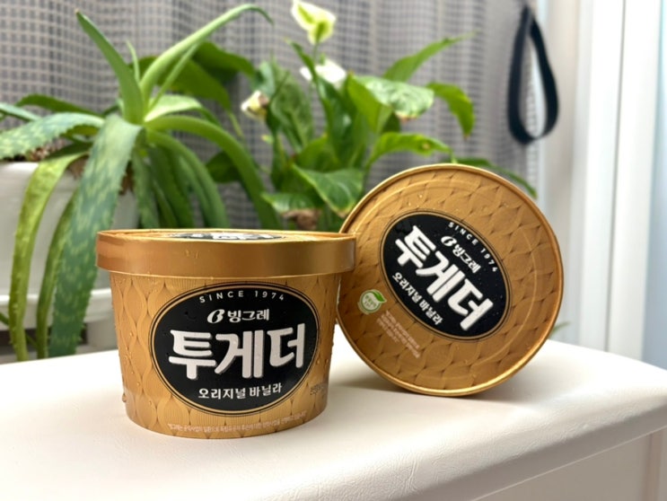  투게더 아이스크림 100번 저으면? 직접 해본 젤라또 실험 후기