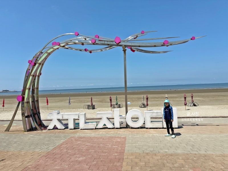 사진 5