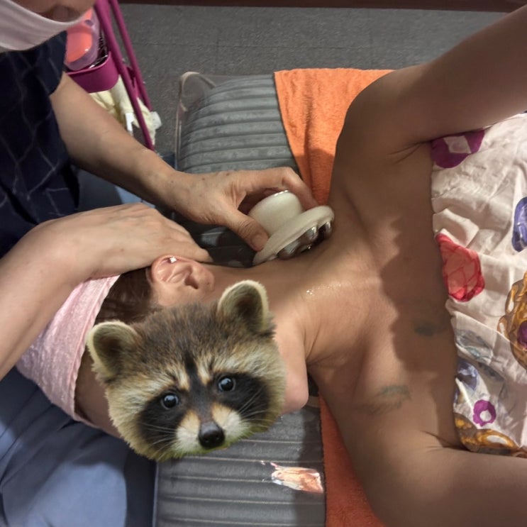  [상도동 피부관리] 숲칼프 장승배기점! 등·어깨 림프순환 마사지 받기 좋은 곳