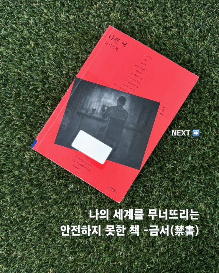  나쁜 책