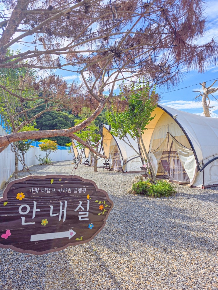  자연과 함께 가성비 좋은 가평 캠핑장  더캠프카라반글램핑