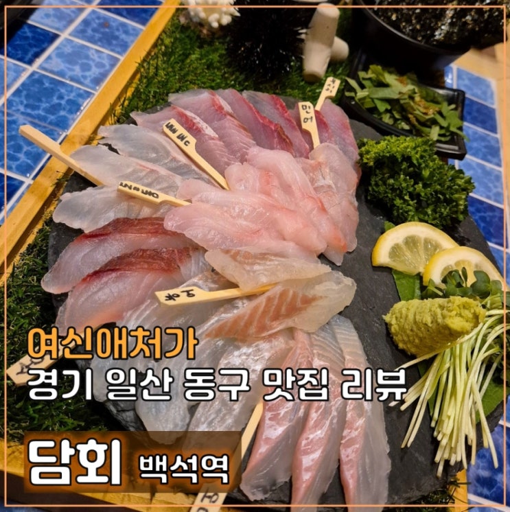  일산 백석 숙성회와 신선한 해산물, 담회 횟집 일산백석점