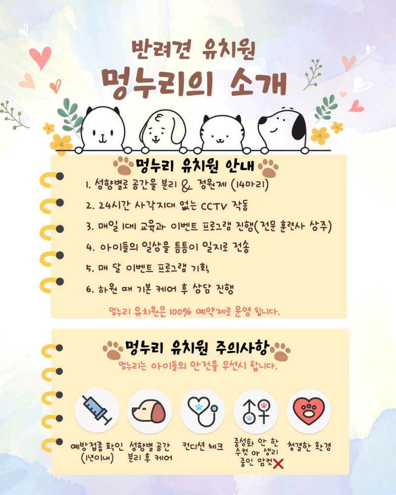 사진 6