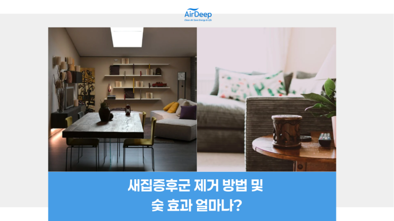 새집증후군 제거 방법 및 숯 효과 얼마나?