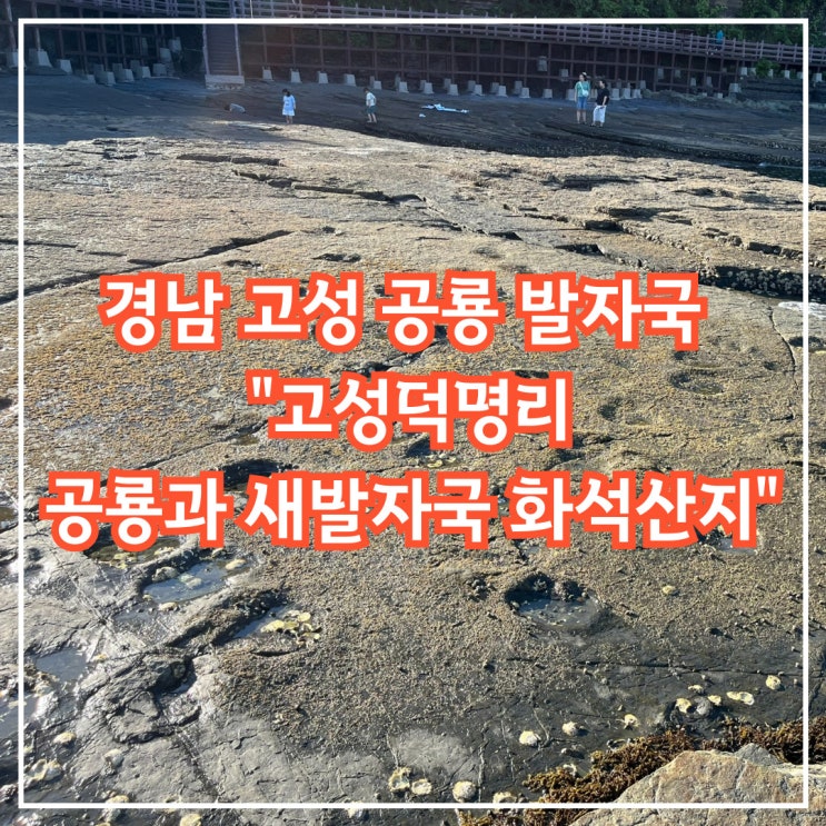  경남 고성 상족암에서 백악기 시대 공룡들의 발자국을 보고 왔어요