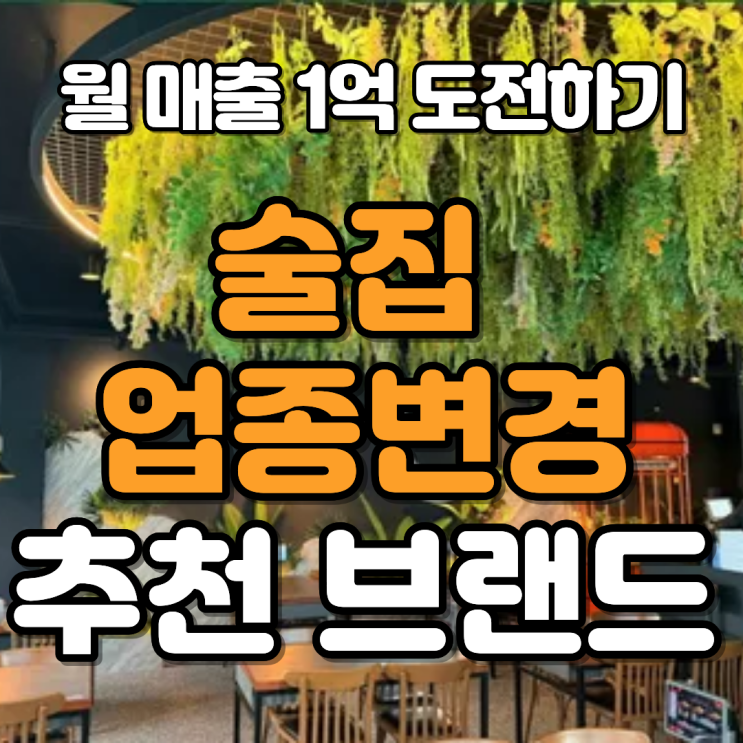  술집 업종변경, ‘술속의밤’ 창업으로 성공 리스타트