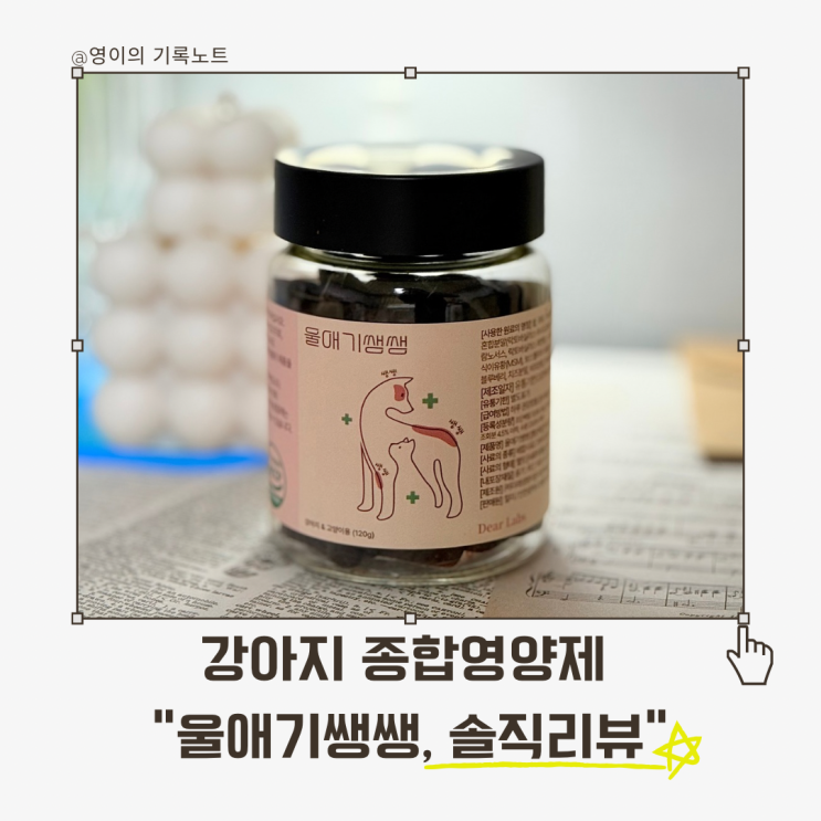  강아지 종합영양제 울애기쌩쌩, 유산균까지 챙긴 기호성 검증 솔직리뷰