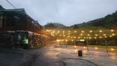 사진 6