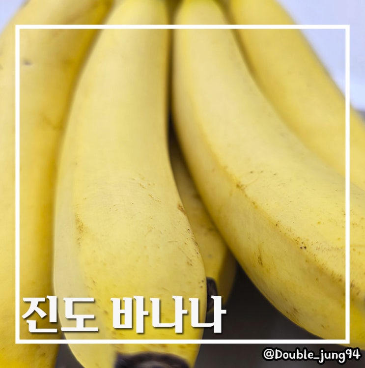  진도 여행 가서 먹어봐야 하는 진도 특산품 진도 바나나