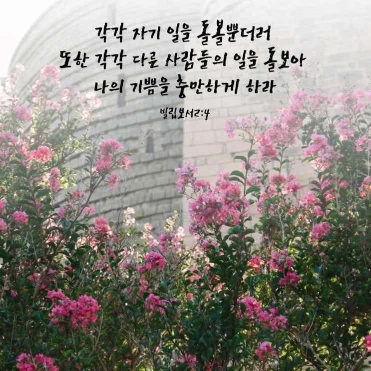  빌립보서 2장 4절 / 서로의 유익을 돌아보는 삶