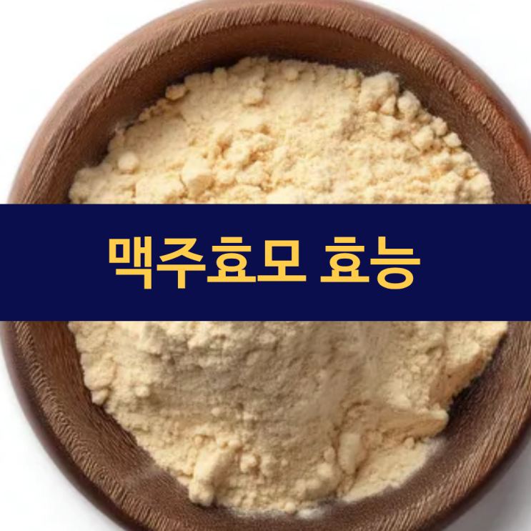  맥주효모 효능 | 맥주효모 먹는 법 | 부작용 | 탈모 샴푸 효과 | 비오틴 영양제 효능