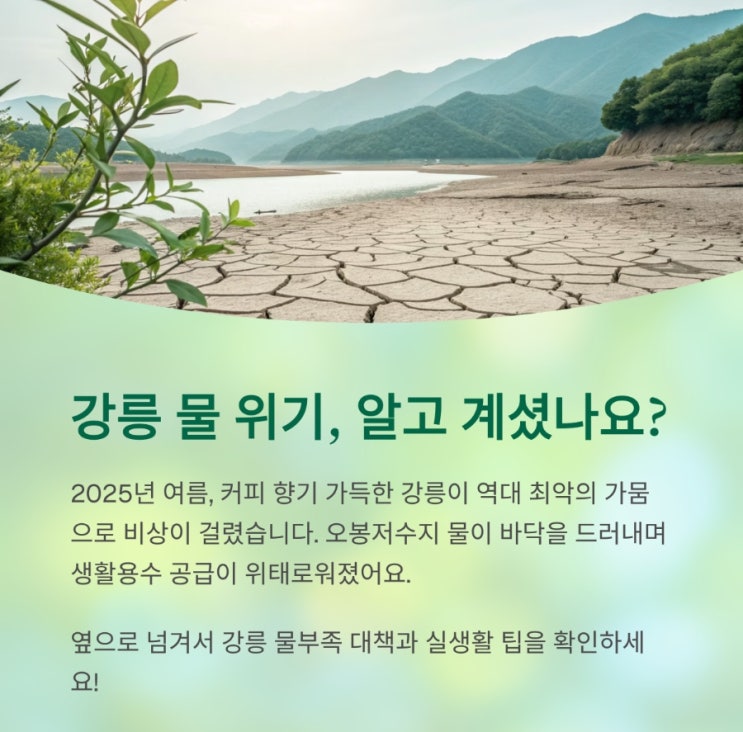 2025년<b>강릉</b> 물부족 <b>가뭄</b> 사태 원인이유해결책: 주민이 꼭... 
