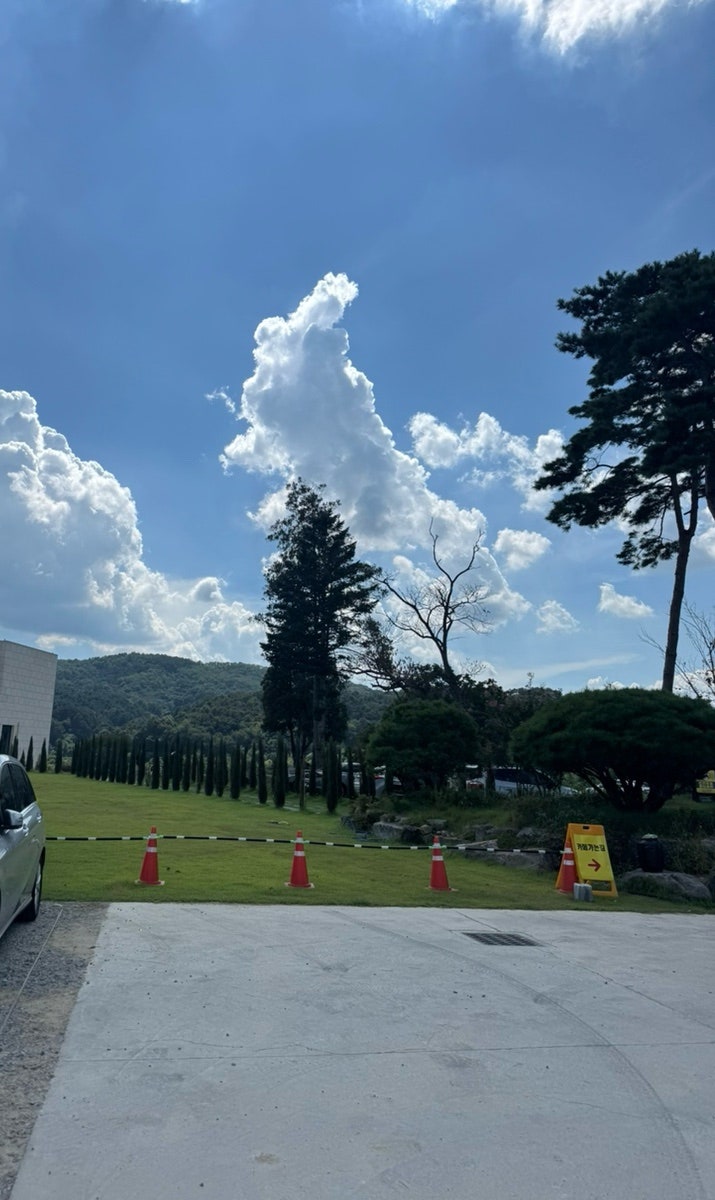 사진 2