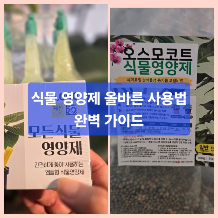  식물 영양제, 이렇게 쓰면 안 됩니다! 올바른 사용법 완벽 가이드