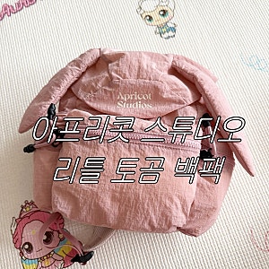[아프리콧 스튜디오] 리틀 토곰 백팩 내돈내산 후기