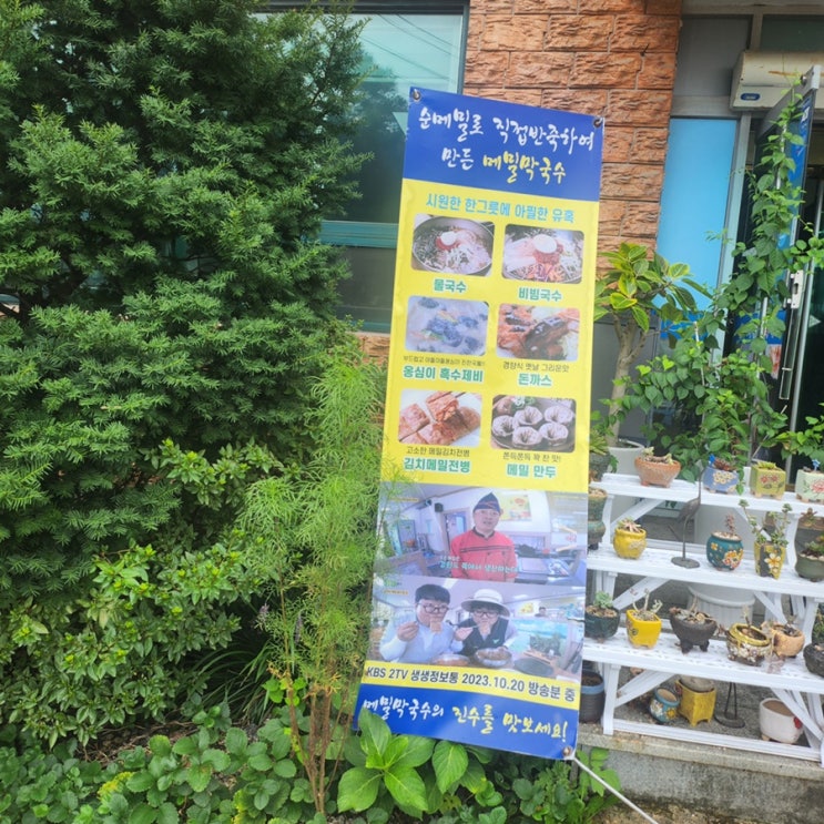 충북 옥천 옥천 시골 막국수  소박하지만 진짜 맛집!